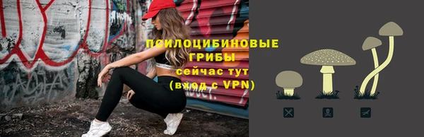 бошки Аркадак