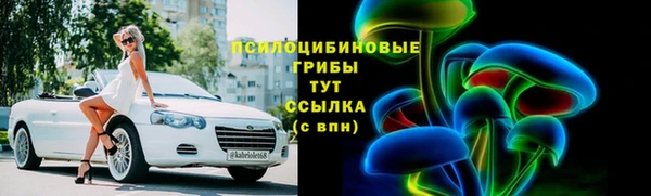 шишки Балахна