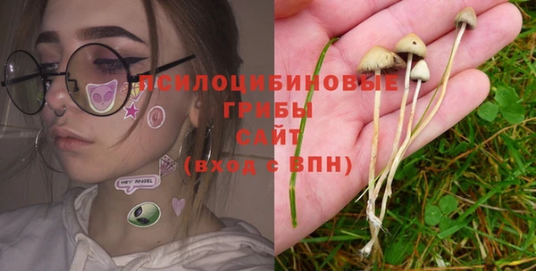 крисы Арсеньев