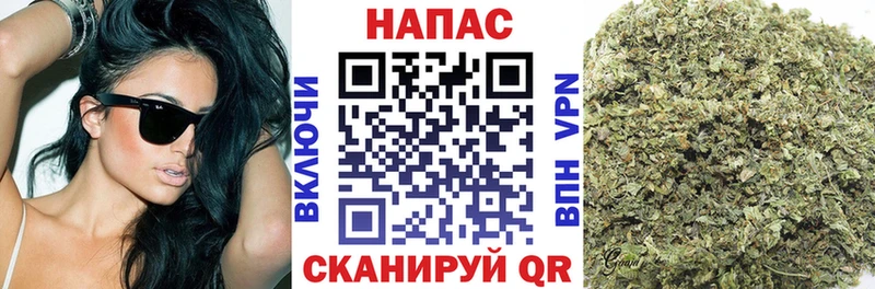 Каннабис MAZAR  Чегем 